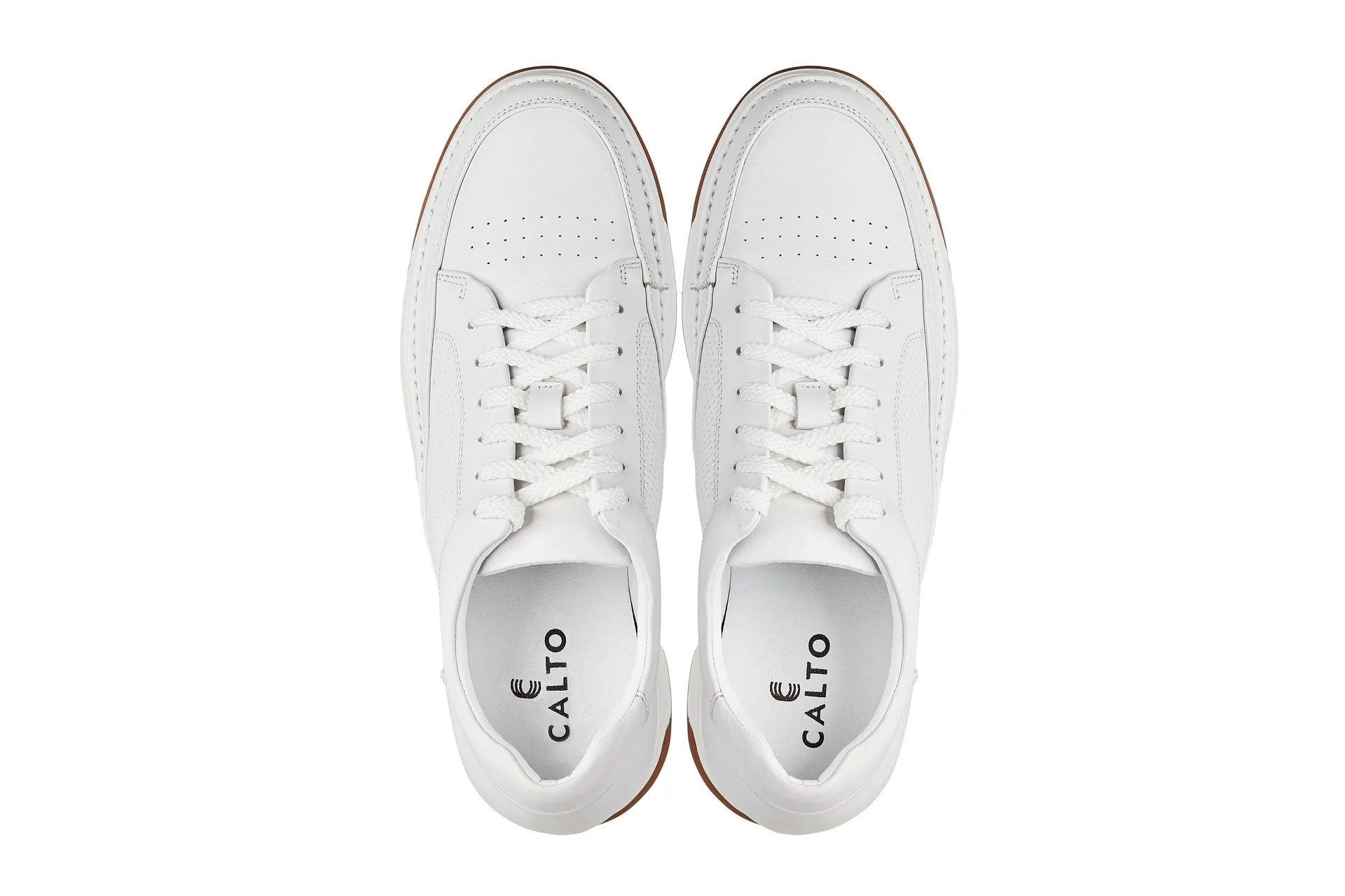 CALTO - Y7932 - 2.6 Inches Taller (White/Off-White & Gum Sole) - Elevated Micro-Perforated Leather Sneakers