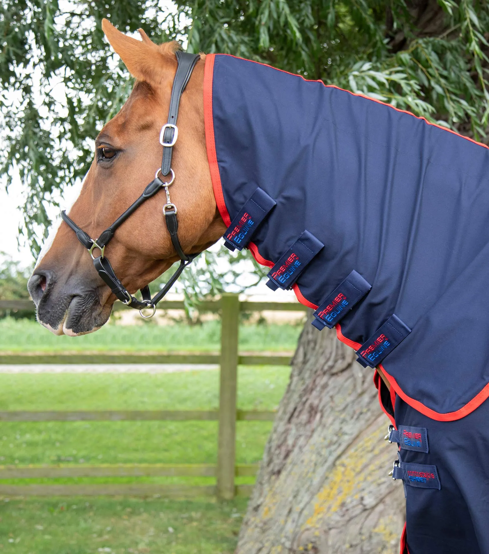 Combo Horse Stable Sheet Navy