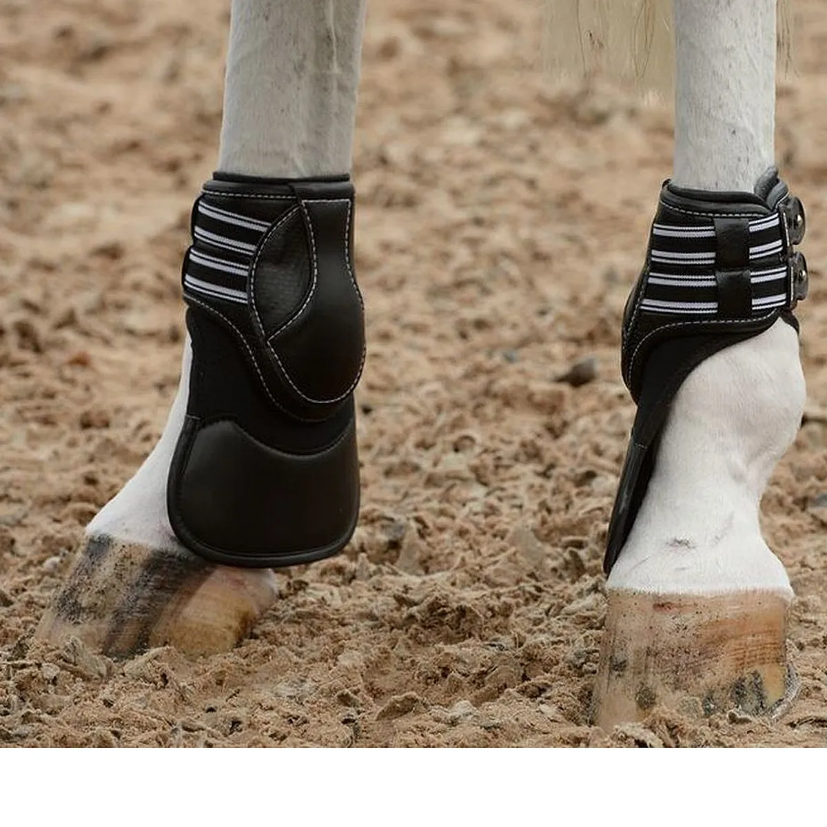 Equifit ImpacTeq Liners for Extended Hind Boot